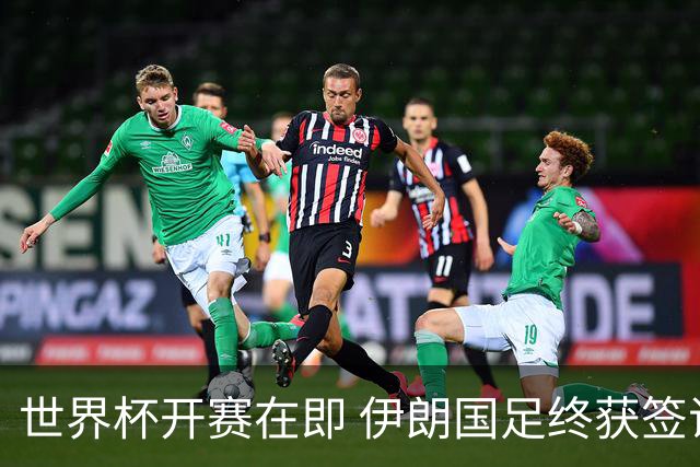 世界杯开赛在即 伊朗国足终获签证